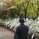 서현초교 앞 이미지