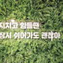 레지던스 여유 이미지