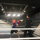 팀제이피 이미지