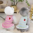 몽몽드림 이미지