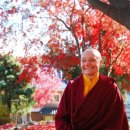 평화로운세상 이미지