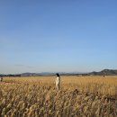 호텔 아이엠 이미지