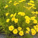 논어이야기 이미지