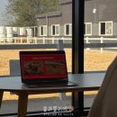 블루홀스 승마센터 | 동물자유연대 뿌리테라피ㅣ심신 안정 마법사 홀스 테라피 체험