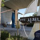 인천 드림파크 국화 축제 이미지