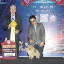 렛츠개릿 이미지