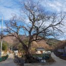 부산리 마을회관 이미지