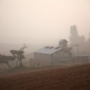 빠담목장 이미지