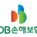 DB 손해보험