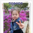 서율농장 네이버블로그