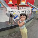 치치앤죠이 | 대전 어린이회관 아기랑 체험 후기 | 24개월 아이랑 실내 놀거리 총정리