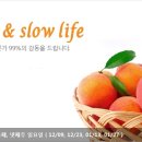 여수롯데마트던킨도너츠
