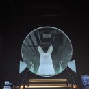 어린이 발레(중급) | 아이랑 여수 아르떼 뮤지엄 솔직 후기 | 시간, 가격, 주의 할 점 등