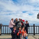 제주언니 | 제주도 스타리아 렌트 기사포함 후기 언니들과 편하게 즐긴 제주 여행