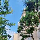 강남한방공인중개사사무소 이미지