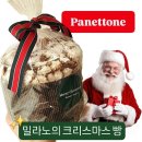 파네토네제과점 | 파네토네(panettone) : 이탈리아 밀라노의 크리스마스 빵 (퀸즈베이커리, 빠네토네)