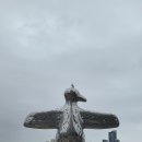 시드니펜션 | 호주 신혼여행 6일차 시드니에서 퍼스로🛩 | 버진오스트레일리아 후기, 펜션호텔퍼스, 아몬드크로와상...