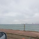 욜로190 | [대부도] 펜션 욜로190 (120평 대형 독채펜션)