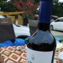 한티별빛아래관광농원야영장 이미지