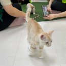 반려마루 화성 이미지