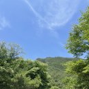 금방아 민박 캠핑장 이미지