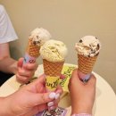 24아이스크림샵 | 강남역 뉴욕 프리미엄 아이스크림 브랜드 밴루엔 오픈날 다녀온 후기