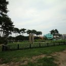 제민천1길 이미지