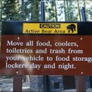 엔젤레스 이미지