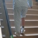 편한보조기 이미지