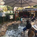 준오토카 이미지