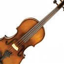 바네스(VANESSE) 이미지