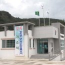 후포보건진료소 Daum카페