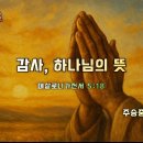 2025-11-16 추수감사주일(Thanksgiving Day) 설교말씀 / 감사, 하나님의 뜻(데살로니가전서 5:18) 이미지