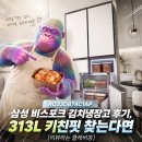 세컨드키친 | 삼성 비스포크 김치냉장고 RQ33DB74C1AP 후기, 313L 키친핏 찾는다면 [리뷰하는 클레버콩]
