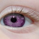 으뜸50안경 아라점 이미지