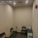 버디버디 스크린 이미지