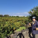 외도지석묘 2호 이미지