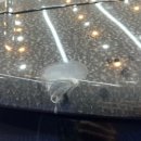 샤인카랩 이미지