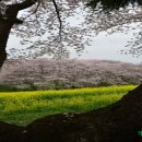 경상목장 이미지