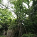 백운동정원 이미지