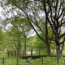 신덕주유소 이미지