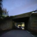 양평사 | 2025 세종 영평사 낙화축제 다녀온 후기 ✨