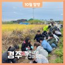 (주)초록배낭 이미지