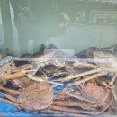 한마음직판장 이미지