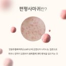 르블랑의원 이미지