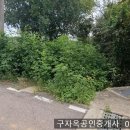 선원면사무소 Daum카페