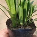 한진농장 2 이미지