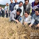 장흥 프레시안
