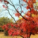 행정사사무소 세종 이미지