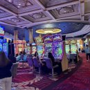 시저스 | 라스베가스 시저스팰리스&amp;바카날 후기